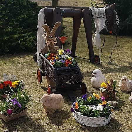 Urlaubsscheune Niedergorsdorf Εξωτερικό φωτογραφία