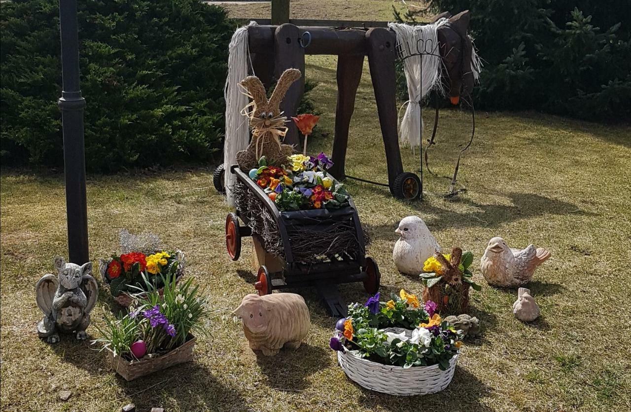 Urlaubsscheune Niedergorsdorf Εξωτερικό φωτογραφία